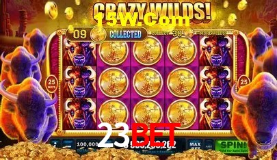 23Bet Salvador - Football